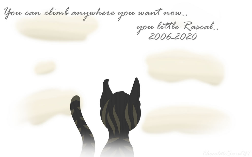 Our little Rascal by ChocolateSwirlYT on DeviantArt