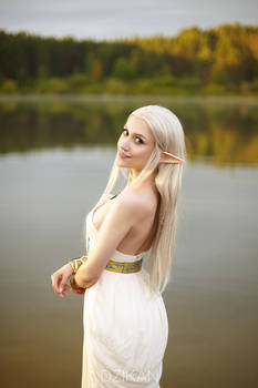Zelda | The Legend of Zelda cosplay