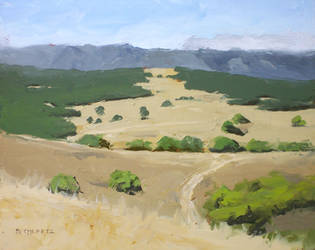 plein air: arastradero