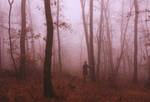 it's late autumn... by EmilyaManole