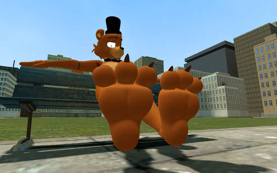 Freddy Feet
