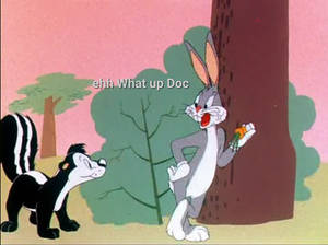 Bugs Bunny Suit Odor Able Kitty