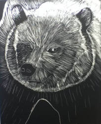 Scratch Board Bear