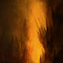 Hell's Gate