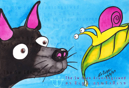 Thai Black Dog Talking With Thai Snail