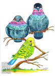 2 Pigeons and Parakeet on Twig