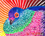 Colorful Stunning Pigeon watercolor