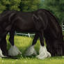 Shire horse 2.0