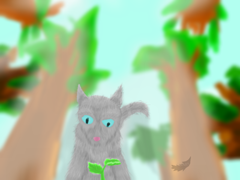 Jayfeather's Catmint