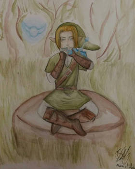 Link the Hyrulian