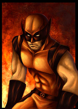 request 3: X men wolverine