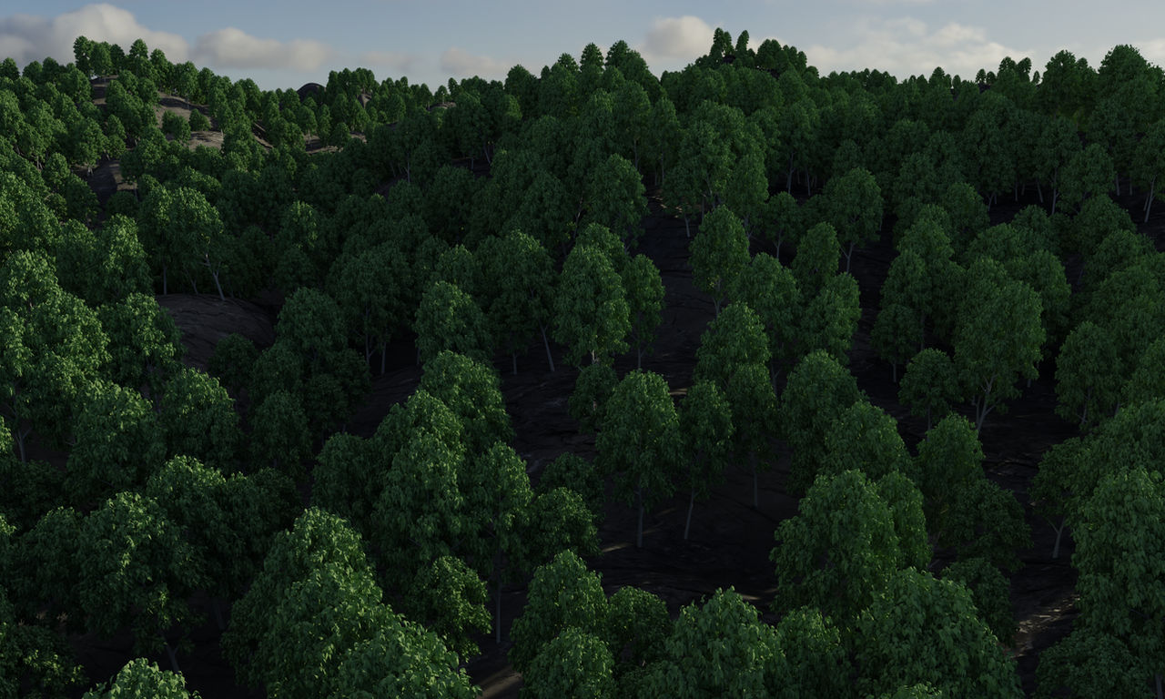 Forest Rendered Blender Forest render by LoneeWeeb on DeviantArt