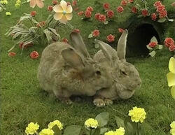 Teletubbies Rabbit 3 by prettyprejoy on DeviantArt