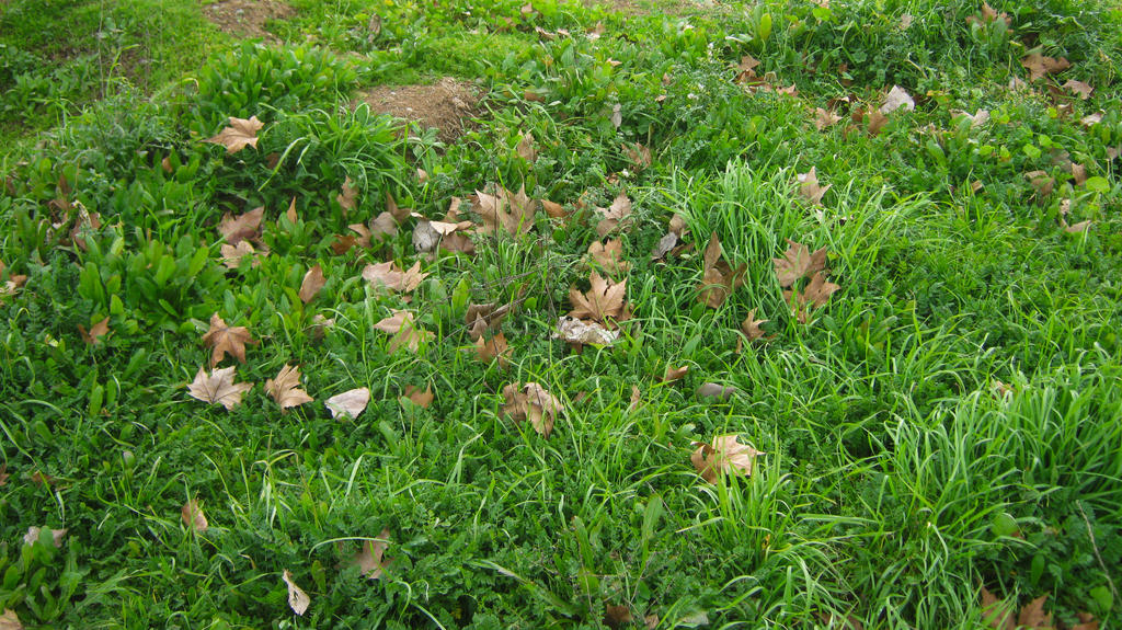 High-Key Color by Navyjojo123 on DeviantArt