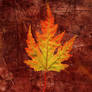 Autumn leaf portrait