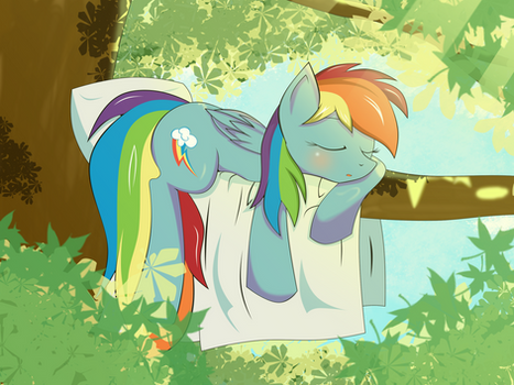 Sleeping Dash