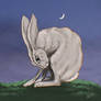 Moon Hare 