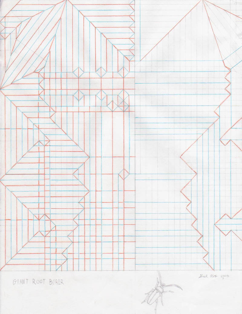 Root Borer crease pattern
