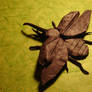 Flying Hercules Beetle