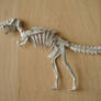 Tyrannosaurus Skeleton2