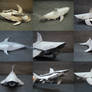 White Shark Collage-Trollip