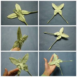 Origami Luna Moth
