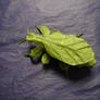 Origami Leaf Insect