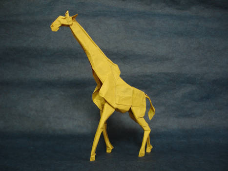 Giraffe 2014
