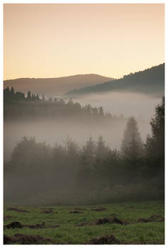 Orange morning