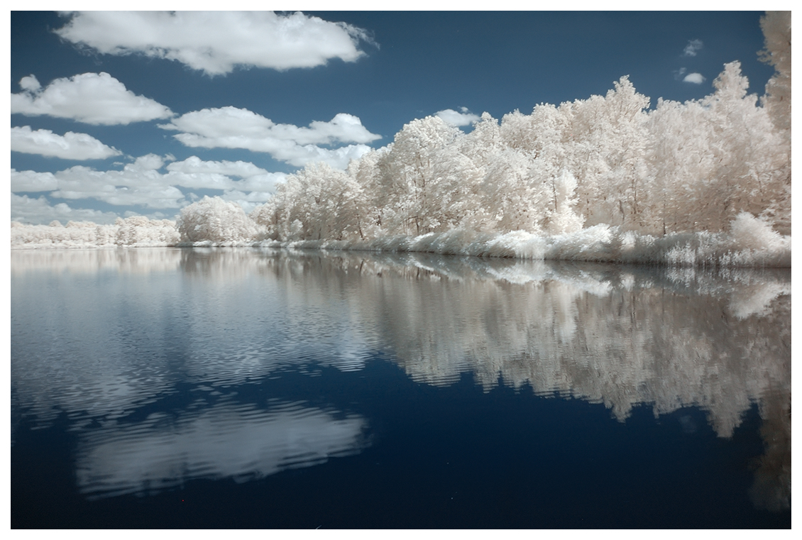 White Forest