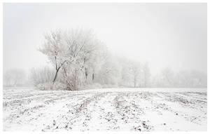 Black and white VI