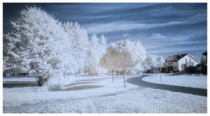 Summer Winter