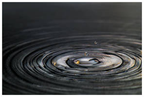 Orbits
