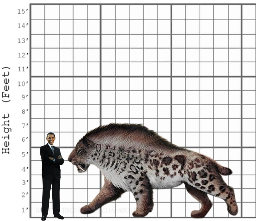 Beelemodon Size Smilodon Populator size comparison by Therizinodontosaurus on DeviantArt