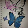 Sketchbook Butterflies