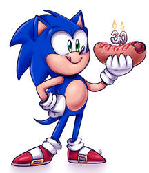 Happy Birthday Sonic!!!