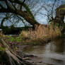 Antrim - Lough Neagh