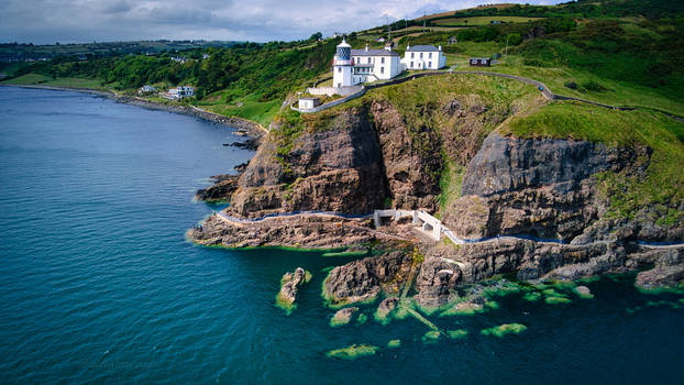 Whitehead - N.Ireland