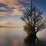 Lough Neagh - Antrim - N.Ireland