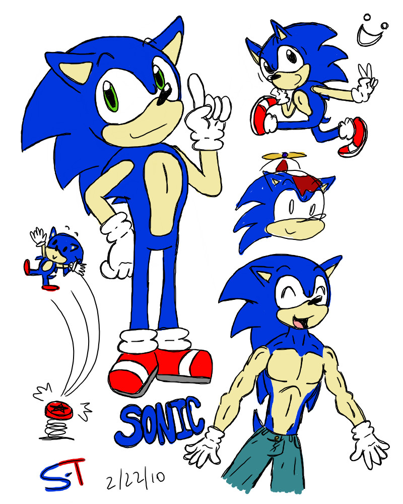 Why Sonic? -Request won-