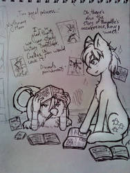 Studying ponies history