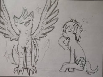 Griffon's winds