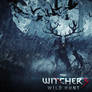 The Witcher 3 Wild Hunt