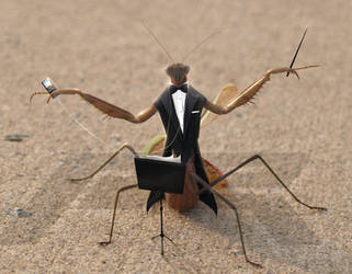 Mantis Conductor