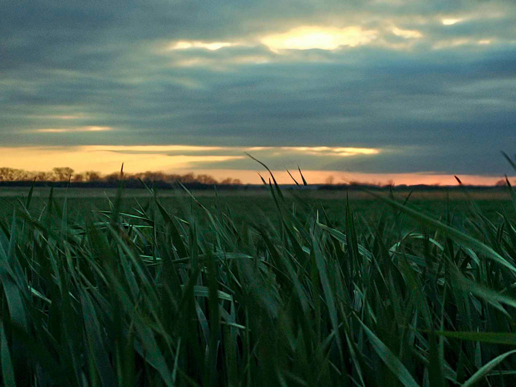 A Rube Bumpkin country by bluecheese5 on DeviantArt