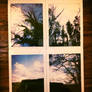 POLAROIDS WITH NATURE