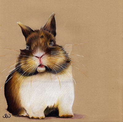 Deviantart Mini Rabbit SMALL RABBIT by SUSI-the-FUZZYHEAD on DeviantArt