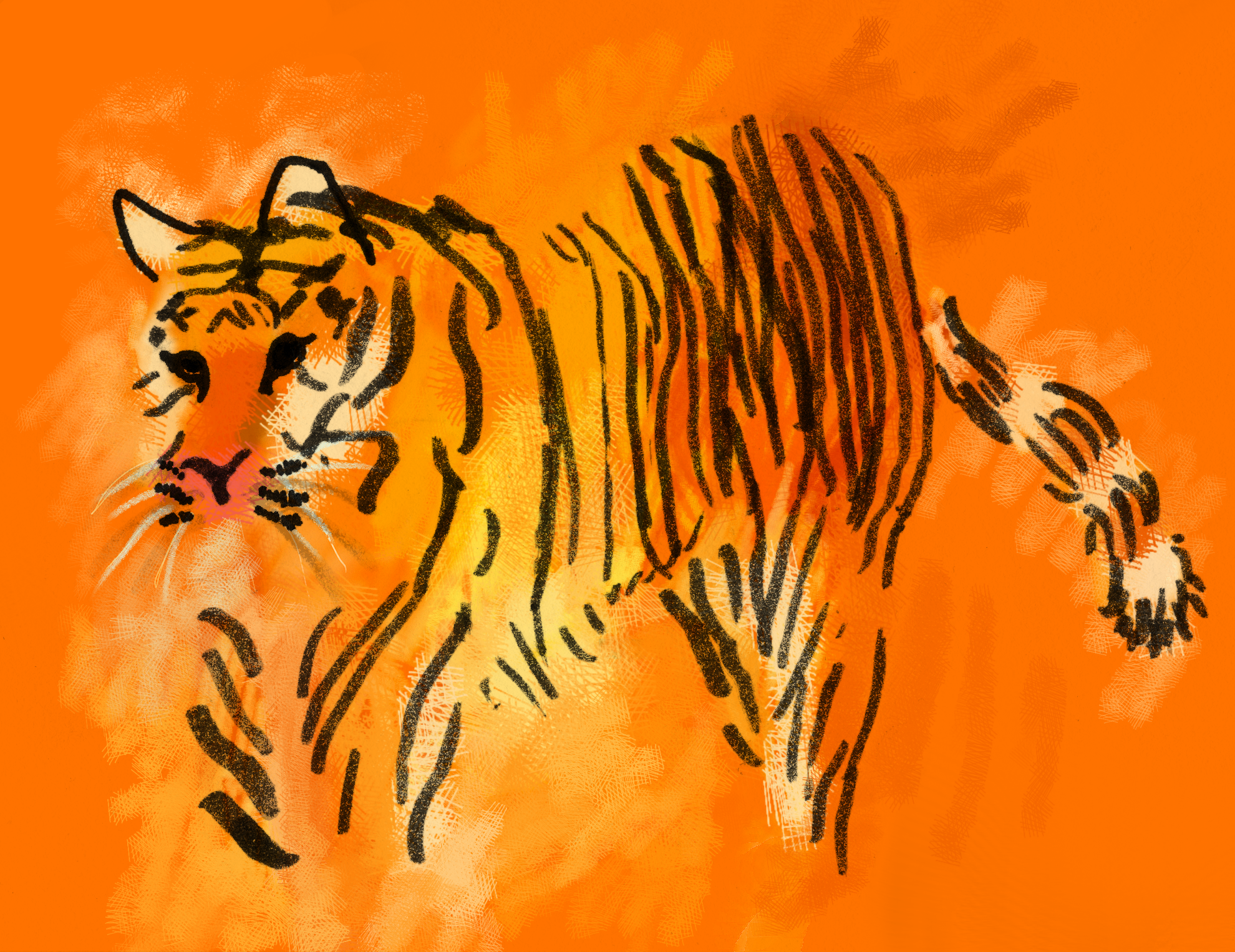 TIGER