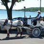 A Horse and Carriage