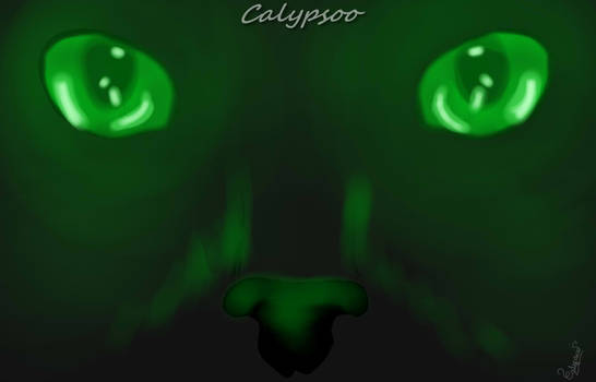 N.4 - Animals / Animaux - Calypsoo